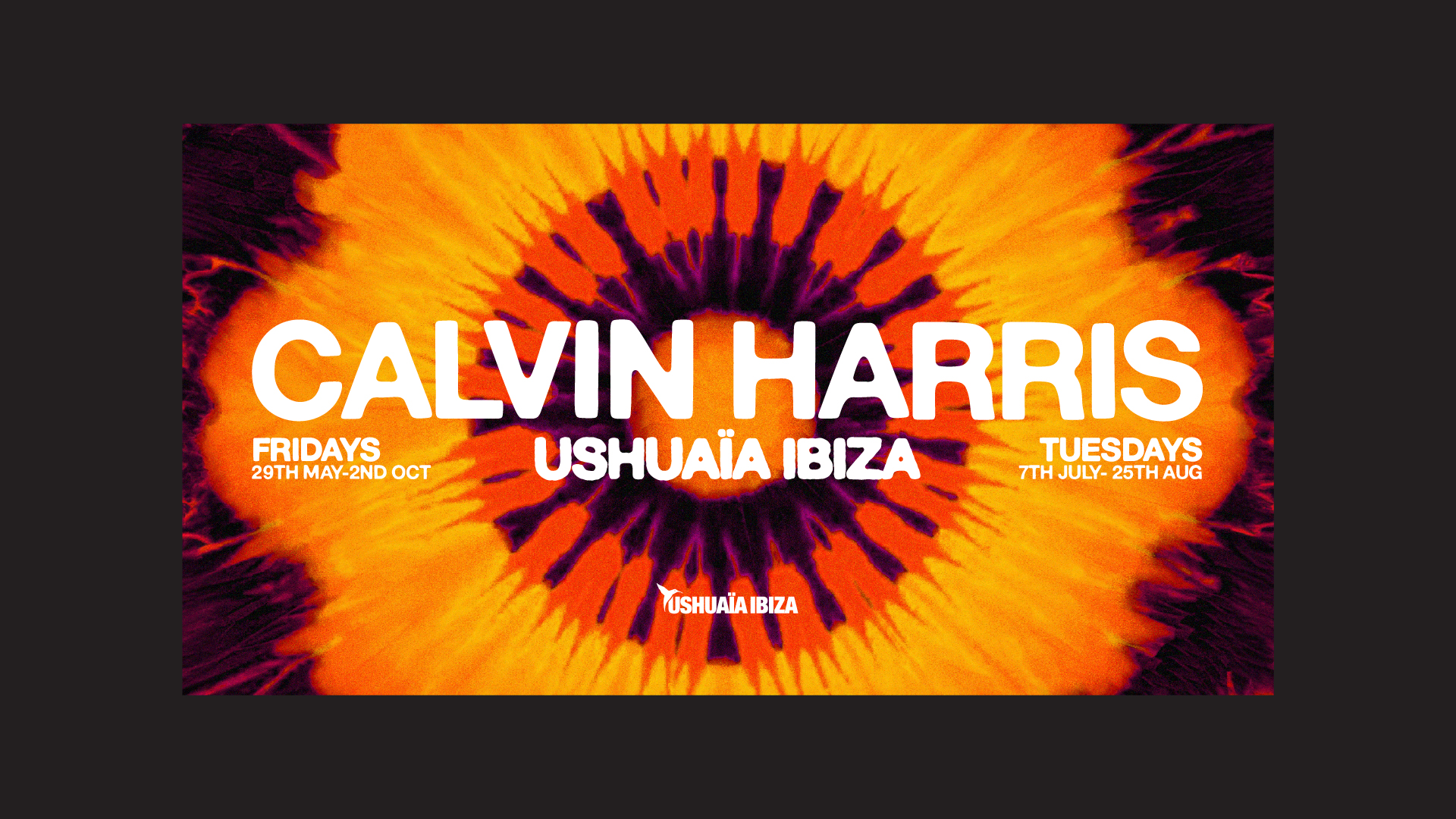 Calvin Harris –