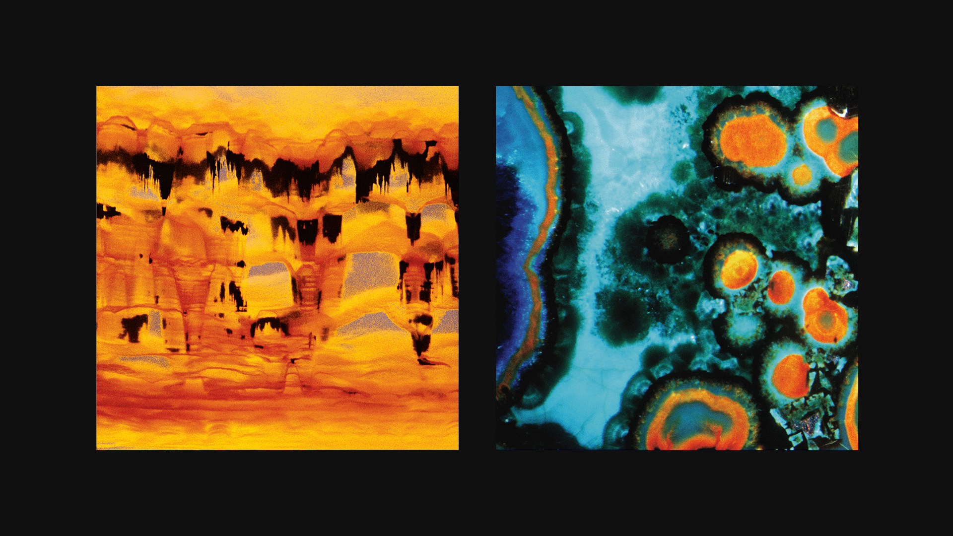 Bonobo –
